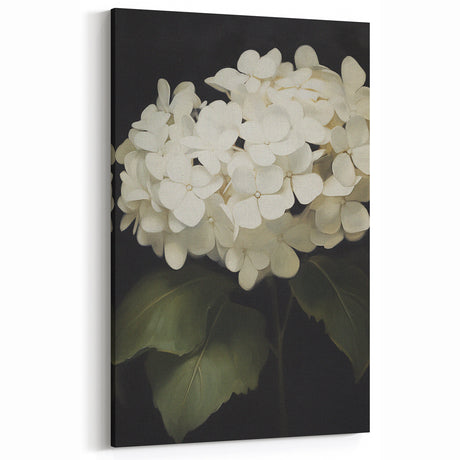 Vintage Botanical Art Prints – White Hydrangea Painting for Home Decor
