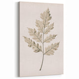 Vintage Botanical Art Prints – Elegant Oak Leaf Drawing