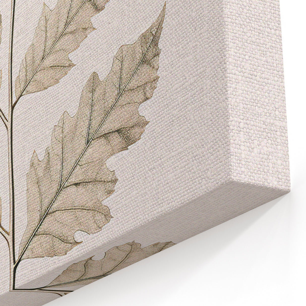 Vintage Botanical Art Prints – Elegant Oak Leaf Drawing