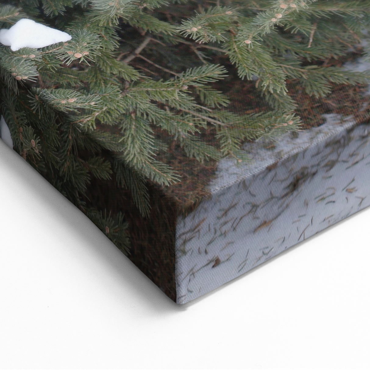 Vintage Sled and Snowy Pines - Winter Scene Wall Art Winter Print