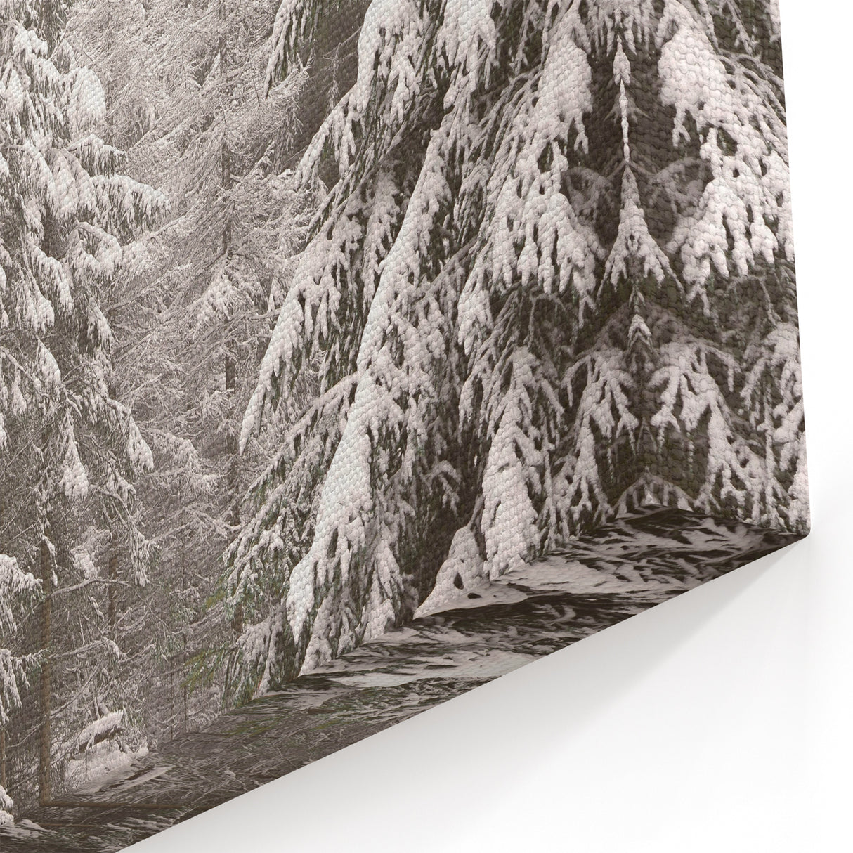 Snowy Forest Path - Winter Wonderland Wall Art Winter Canvas Print
