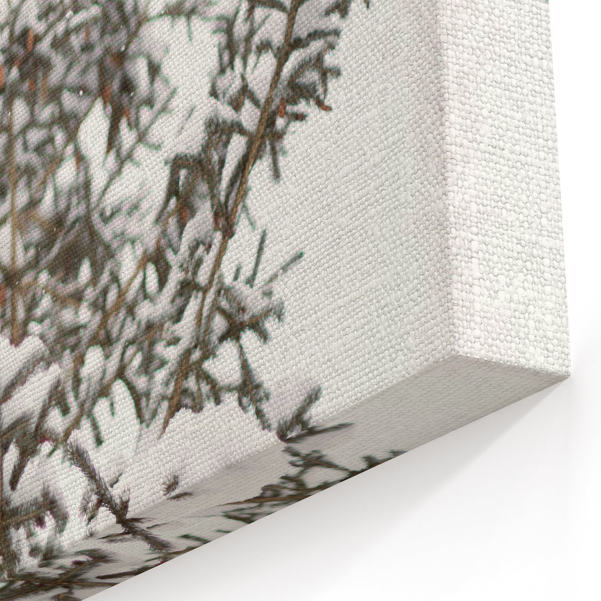 Snowy Evergreen Tree - Winter Wonderland Wall Art Winter Print