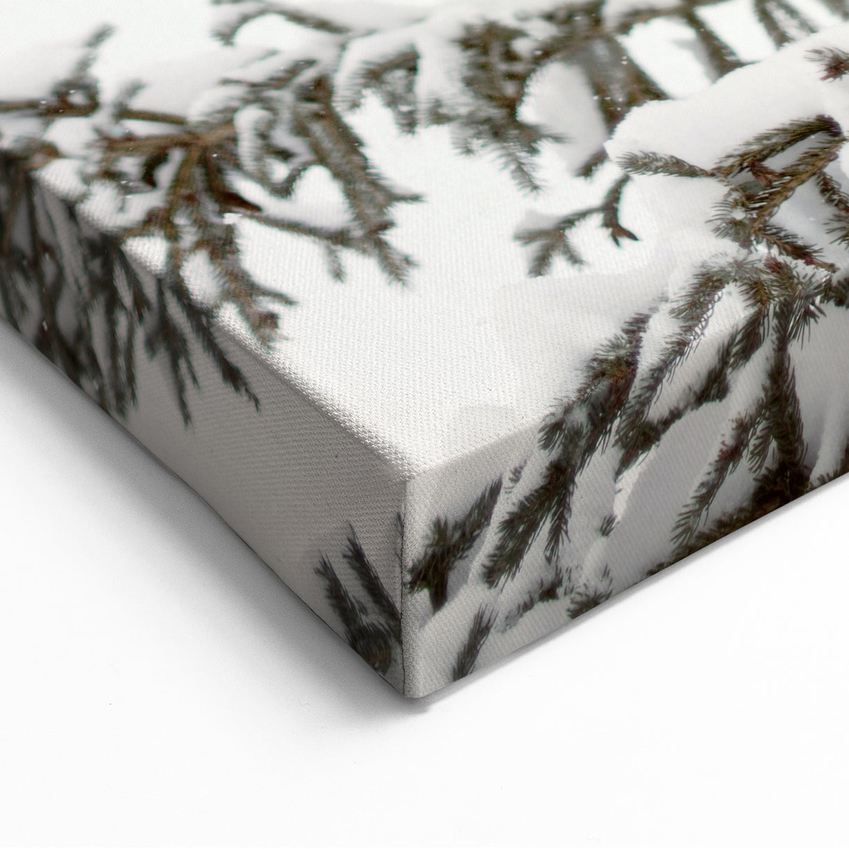 Snowy Evergreen Tree - Winter Wonderland Wall Art Winter Print