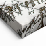 Snowy Evergreen Tree - Winter Wonderland Wall Art Winter Print