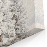 Frosted Pine Trees - Snowy Landscape Wall Art Winter Canvas Print