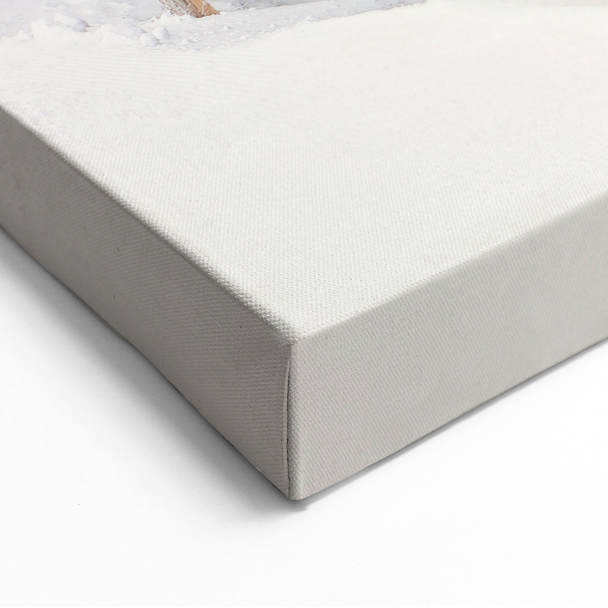 Frosted Pine Trees - Snowy Landscape Wall Art Winter Canvas Print