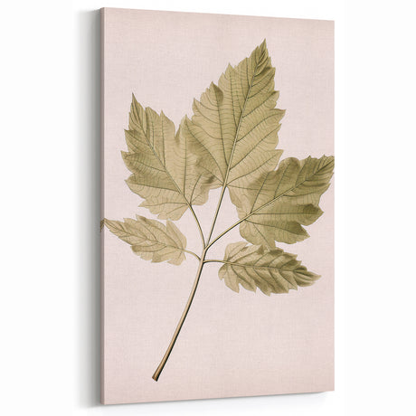 Vintage Botanical Art Print: Antique Floral Illustrations for Home Decor