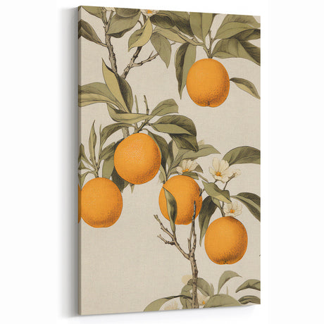 Vintage Botanical Art Print: Antique Orange Tree Illustration