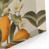 Vintage Botanical Art Print: Antique Orange Tree Illustration
