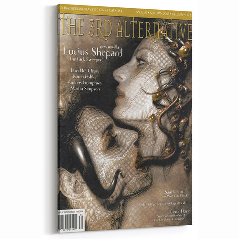 Vintage Magazine Cover Art – Retro 3rd Alternative Magazine Print