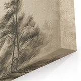 Vintage Botanical Art Print: Soft Tree Sketch Illustration