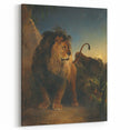 Vintage Animal Art - Majestic Lion at Dusk Antique Wildlife Print