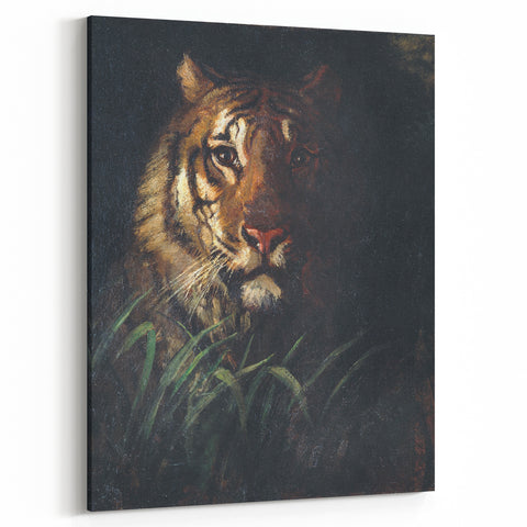 Vintage Animal Art - Majestic Tiger in the Grass Antique Print