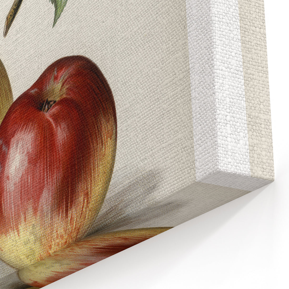 Vintage Apple Botanical Print – Elegant Fruits Wall Art for Kitchen