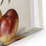 Vintage Apple Botanical Print – Elegant Fruits Wall Art for Kitchen