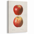 Vintage Apple Botanical Print – Classic Fruit Wall Art for Kitchen