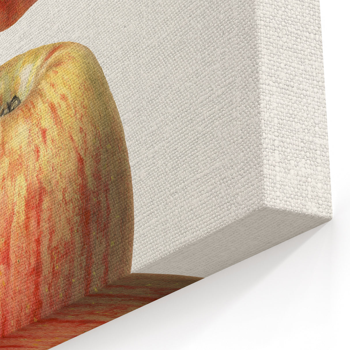Vintage Apple Botanical Print – Classic Fruit Wall Art for Kitchen