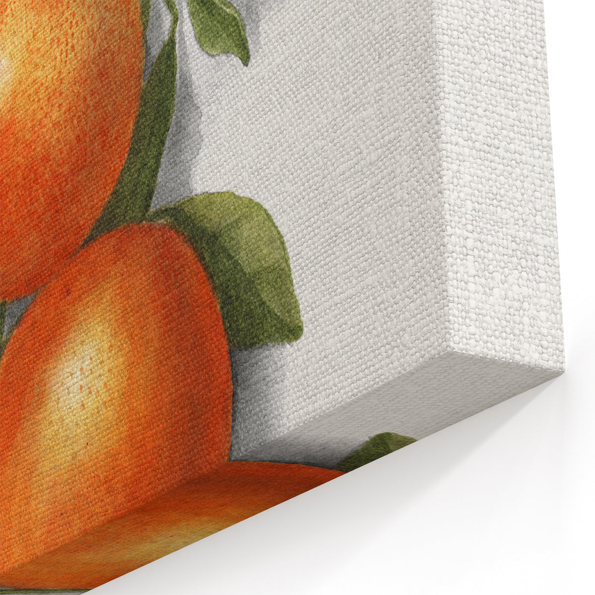 Kitchen Fruit Decor – Orange Botanical Fruit Canvas Art Print
