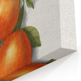 Kitchen Fruit Decor – Orange Botanical Fruit Canvas Art Print