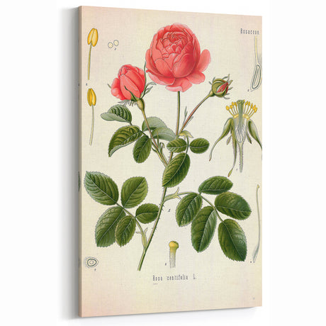Vintage Botanical Art Print – Classic Blue Floral Wall Decor