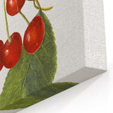 Fruit Botanical Prints – Vintage Cherry Wall Art for Kitchen