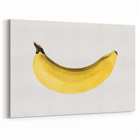 Fruit Illustration Prints – Minimalist Banana Wall Art Decor