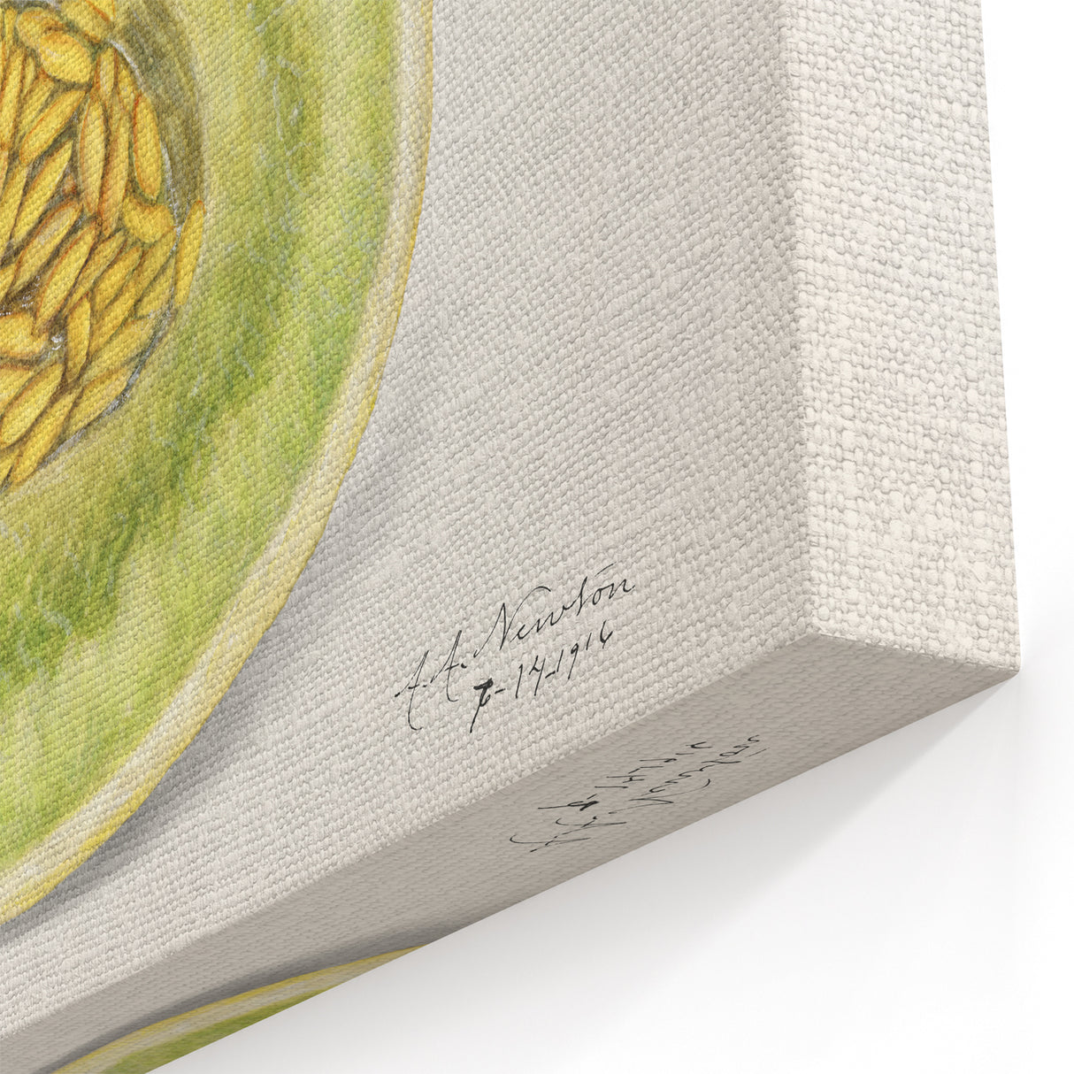 Honeydew Melon Fruits Wall Art – Fruit Canvas Art for Kitchen Decor