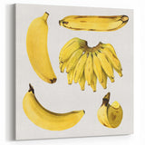 Banana Fruits Wall Art – Fruit Canvas Art for Kitchen Fruit Decor