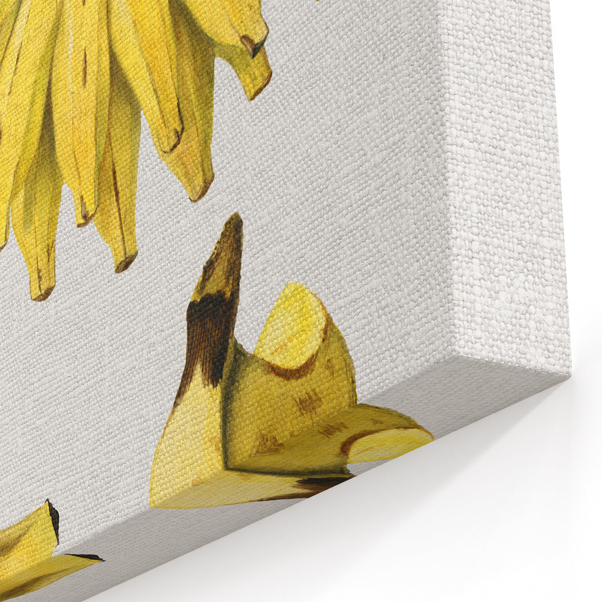 Banana Fruits Wall Art – Fruit Canvas Art for Kitchen Fruit Decor