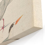 Vintage Animal Art – Elegant Tern Bird Illustration Wall Print