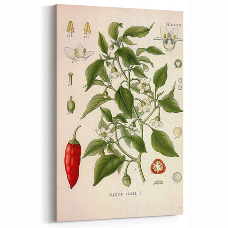 Antique Floral Wall Art – Vintage Botanical Print for Home