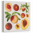 Peach Fruits Wall Art – Fruit Canvas Art for Kitchen Fruit Decor