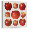 Apple Fruit Paintings – Fruit Canvas Art for Kitchen Wall Decor