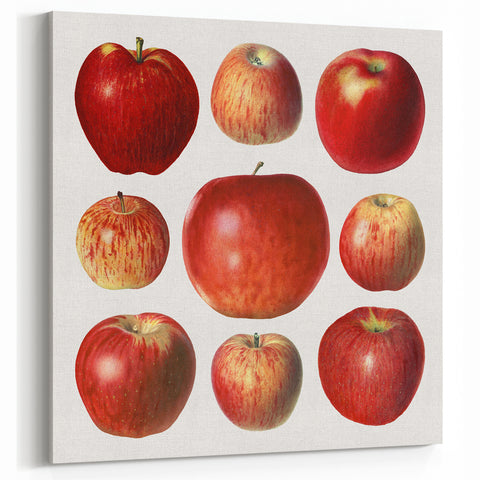 Apple Fruit Paintings – Fruit Canvas Art for Kitchen Wall Decor