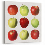 Apple Fruit Canvas Art – Fruits Wall Art for Kitchen Decor