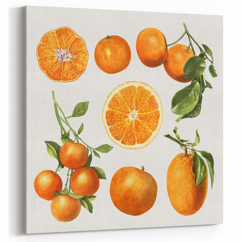Orange Fruit Art Prints – Kitchen Fruit Decor for Modern Spaces