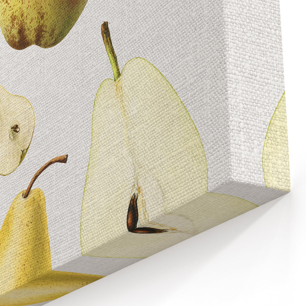 Pear Fruit Paintings – Fruit Botanical Prints for Kitchen Decor