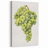 Green Grapes Fruit Art – Fruit Canvas Art for Kitchen Decor