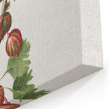 Gooseberry Fruit Botanical Prints – Kitchen Fruit Wall Decor