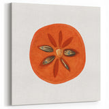 Persimmon Fruit Art Prints – Kitchen Fruit Wall Decor