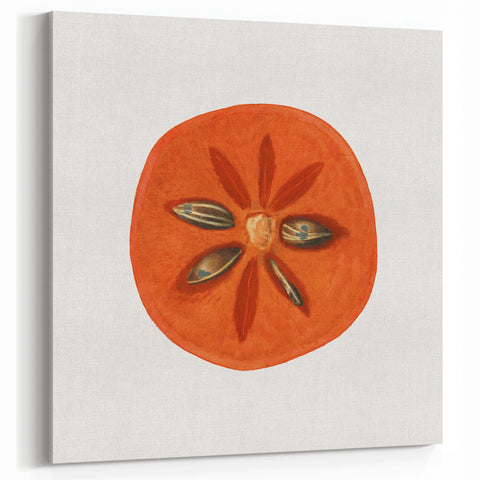 Persimmon Fruit Art Prints – Kitchen Fruit Wall Decor
