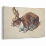 Vintage Animal Art – Realistic Rabbit Illustration Wall Print