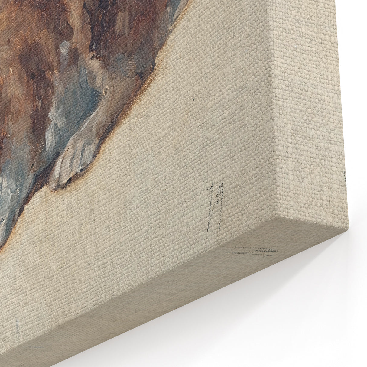Vintage Animal Art – Realistic Rabbit Illustration Wall Print