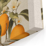 Vintage Botanical Orange Tree Print – Retro Citrus Wall Art