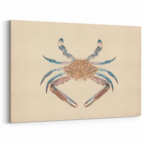Vintage Animal Art – Blue Crab Watercolor Illustration Wall Print
