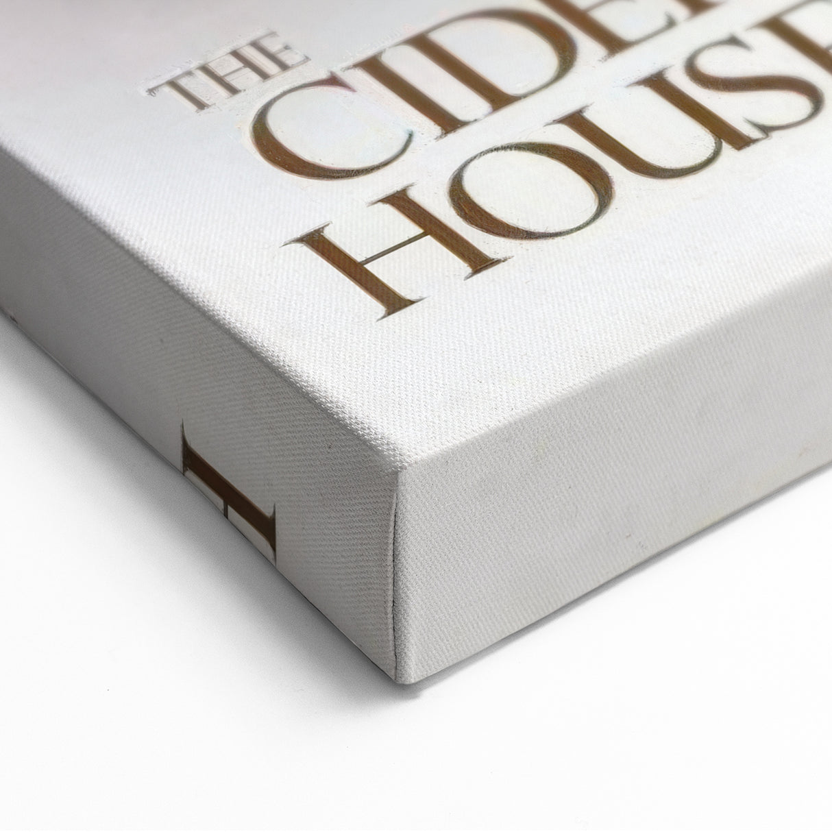1990s Vintage Movie Poster – Classic 90s Film Art – The Cider House Rules