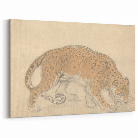 Vintage Animal Art – Leopard Sketch Illustration Wall Print