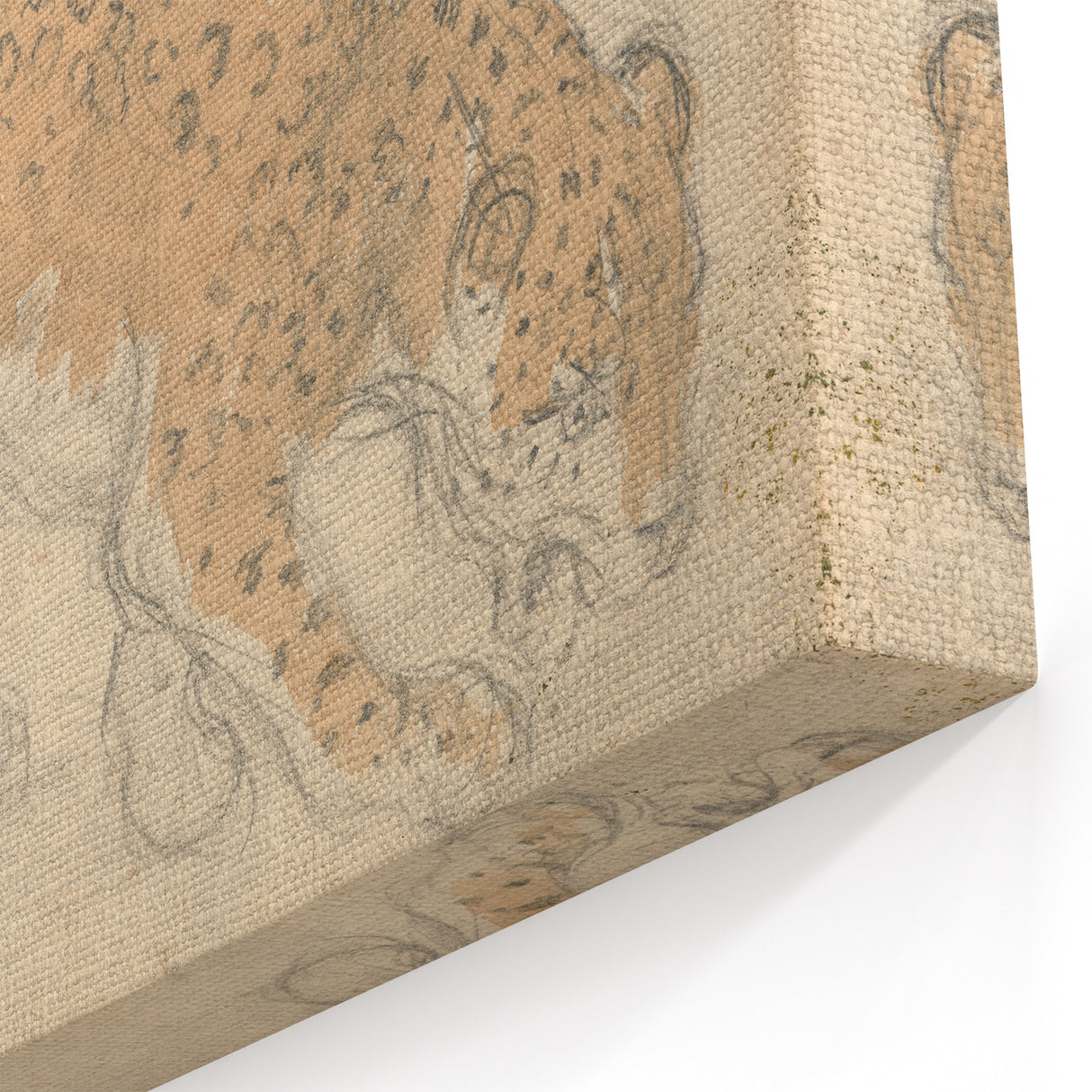 Vintage Animal Art – Leopard Sketch Illustration Wall Print