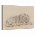 Vintage Animal Art – Lion Sketch Illustration Wall Print