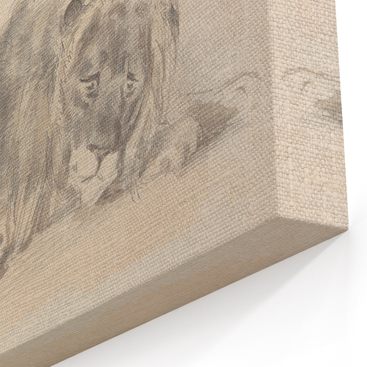 Vintage Animal Art – Lion Sketch Illustration Wall Print